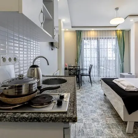 Cozy & Comfy Studio At Beyoglu - 27 アパート *